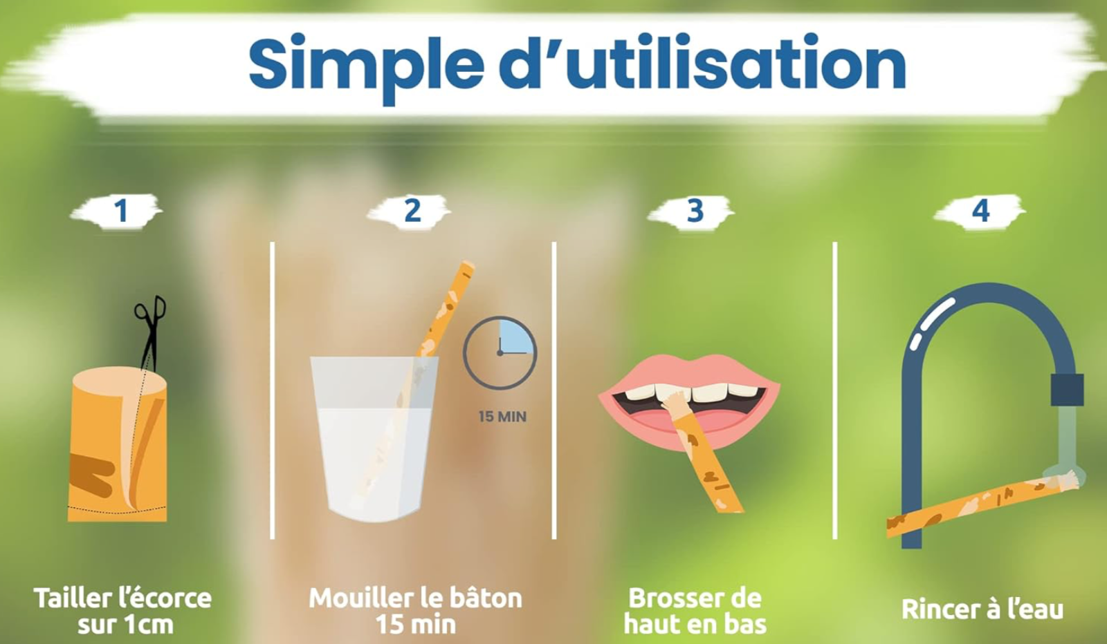 Guide d'utilisation du bâton de Siwak en 4 étapes - Tailler, mouiller, brosser et rincer