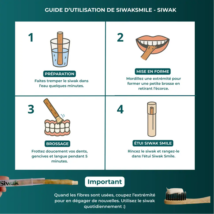 Guide d'utilisation du siwak SiwakSmile en 4 étapes - Préparation, mise en forme, brossage et rangement