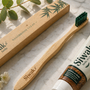 Brosse à dents : L'alternative 100% végétale