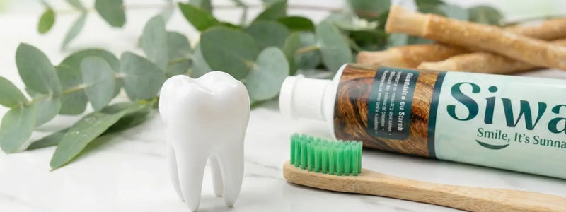 Acheter Siwak Naturel : Tradition & Sunna