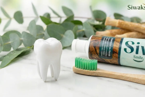 Acheter Siwak Naturel : Tradition & Sunna