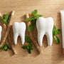 Les dents de siwak illustré avec le dentifrice et la brosse à dents