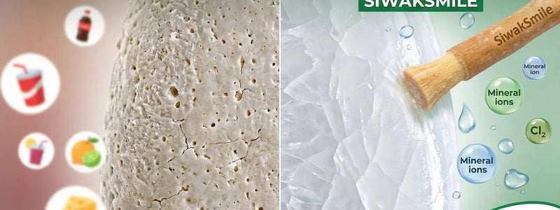 Illustration de la protection naturelle de l'émail dentaire.