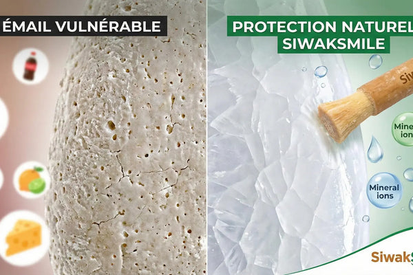 Illustration de la protection naturelle de l'émail dentaire.
