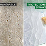 Illustration de la protection naturelle de l'émail dentaire.