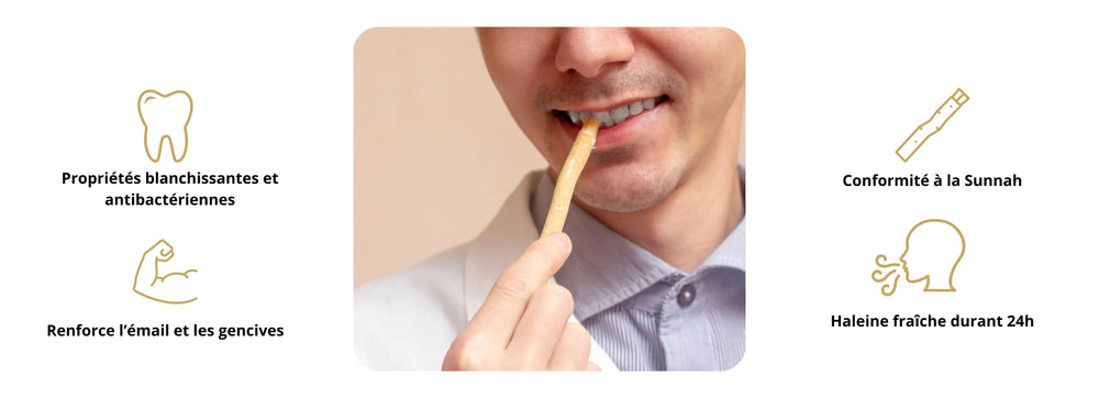 Illustration SIWAKSMILE image centrale et quatre schéma illustrant les bienfaits du siwak