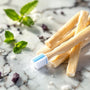 Plan rapproché d’un bâton de siwak et dentifrice SiwakSmile posés sur marbre, entourés de feuilles de menthe, évoquant fraîcheur et naturel pour le siwak ramadan