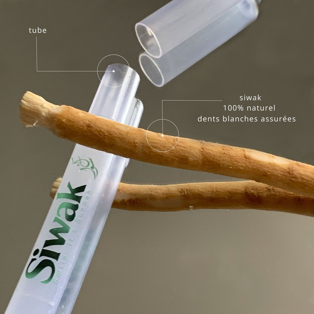 Lot de 4 siwak + 1 offert