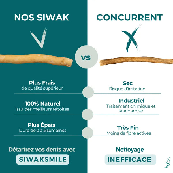 Kit Siwak Addict