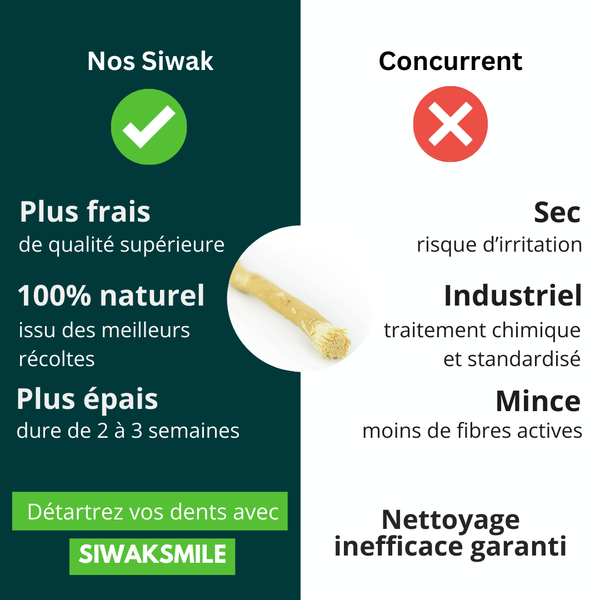 5 Excellence Siwaks + 2 praktische Siwak-Halter