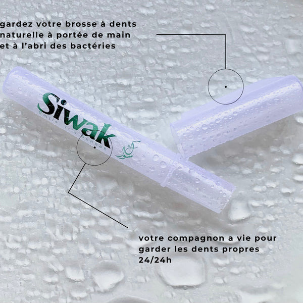 Porte-Siwak