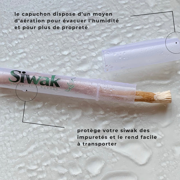 Porte-Siwak