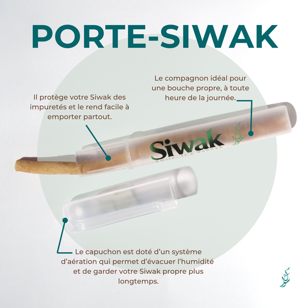 5 Excellence Siwaks + 2 praktische Siwak-Halter