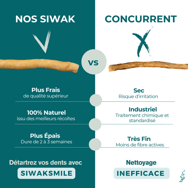 5 Excellence Siwaks + 2 praktische Siwak-Halter