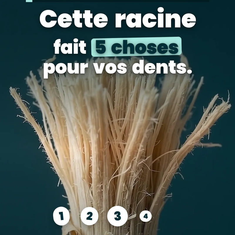 Vidéo : le siwak en 50 secondes, ses bienfaits, les 3 gestes, ce que contient le Kit et les résultats de nos clients